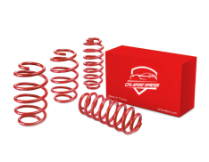 Bmw F30 Spor Helezon Yay Takımı